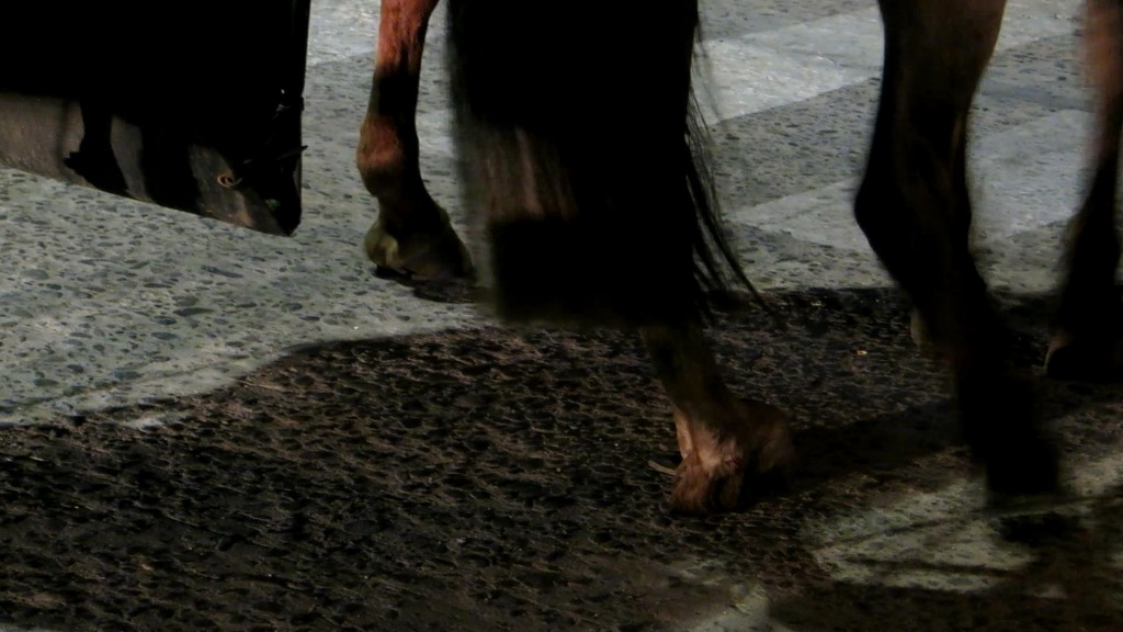 En la imagen, la pata del caballo con la herradura medio salida.