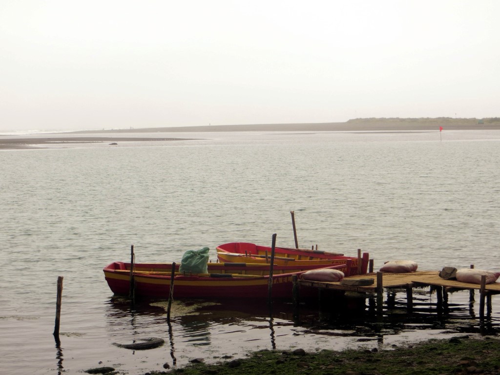 Botes en la laguna de Cáhuil. (Fotos: Diego Grez/El Marino)
