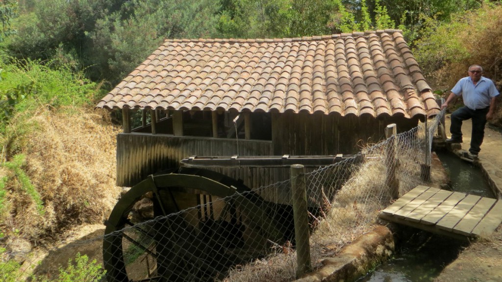 El molino de agua de Rodeillo fue creado en 1952 por José Elizardo Muñoz. Fotos: Diego Grez / El Marino.